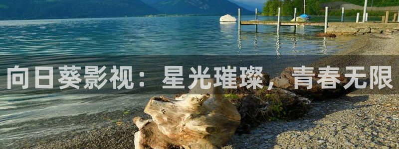 可可影视观看