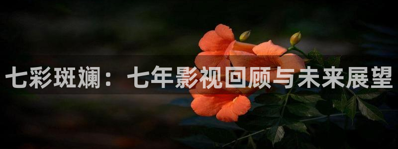 可可影视历史版本