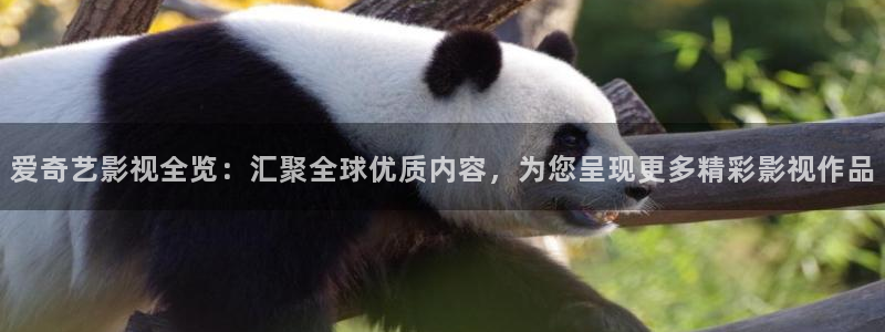 可可影视ios伪装app
