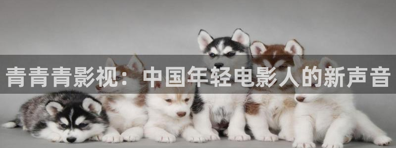 可可影视无广告免登录下载
