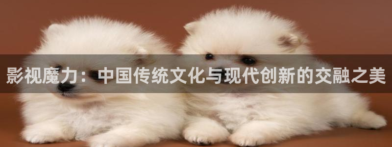 可可影视登录入口